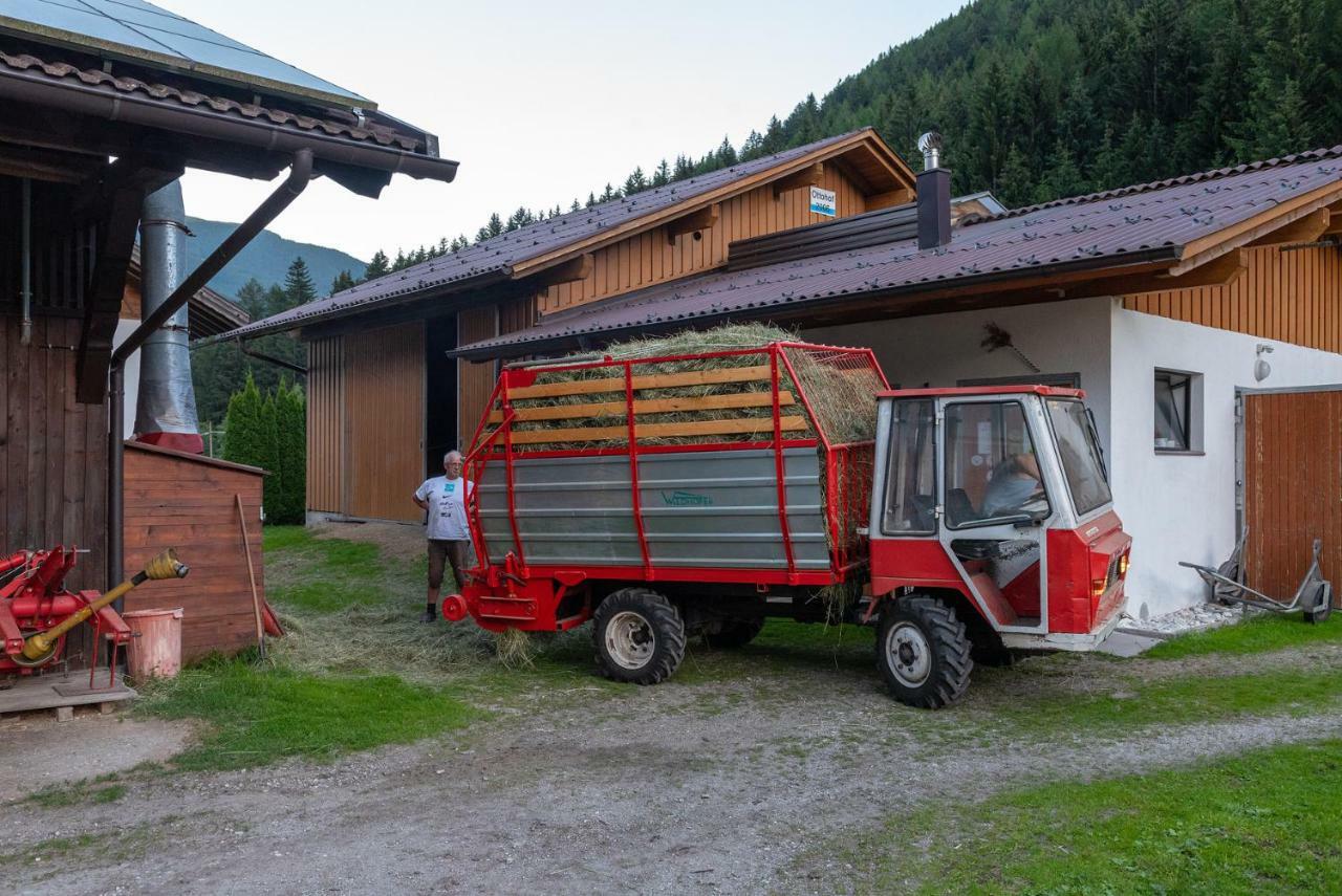 Apartamento Ottohof - Feldblick Colle Isarco Exterior foto